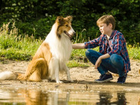 Lassie News 03.jpg